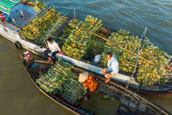 Viaggio privato in Vietnam da 1592USD