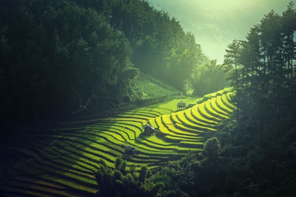 Due settimane in Vietnam