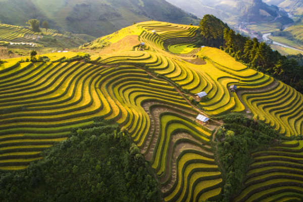 Fuori dal sentiero battuto