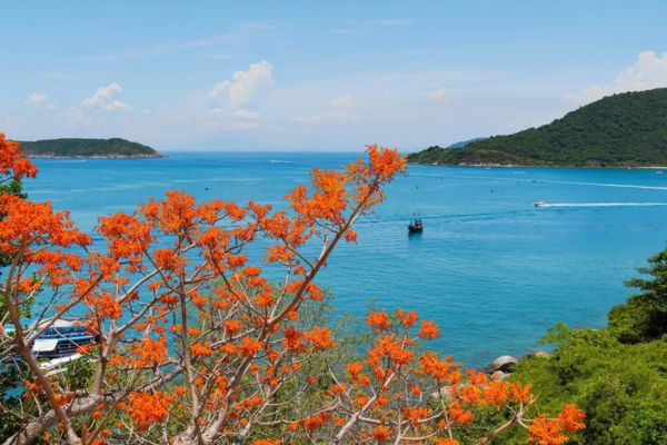 Cu lao Cham: Il santuario smeraldo di Hoi An - Guida completa 2026