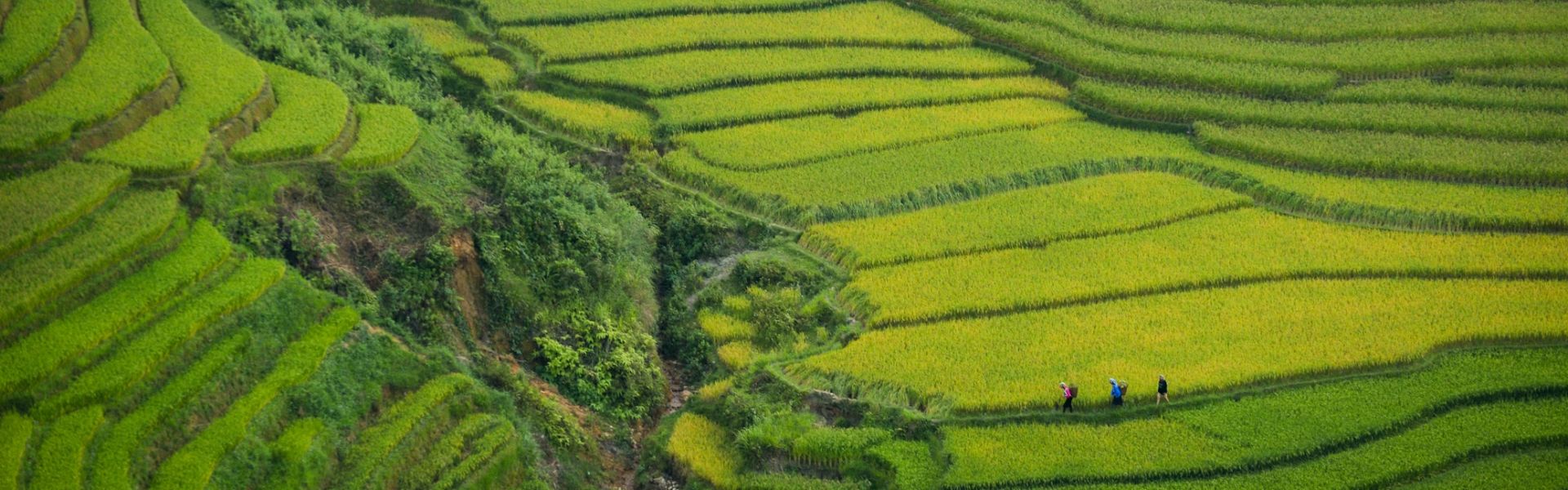 Consigli per i 20 migliori luoghi da visitare in Vietnam nel 2025