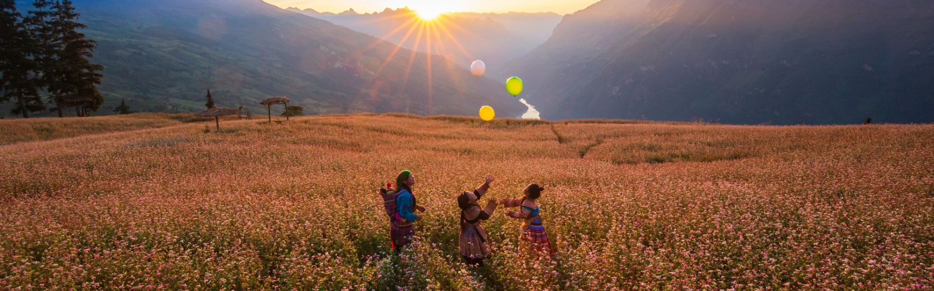 15 applicazioni utili nel viaggio in Vietnam