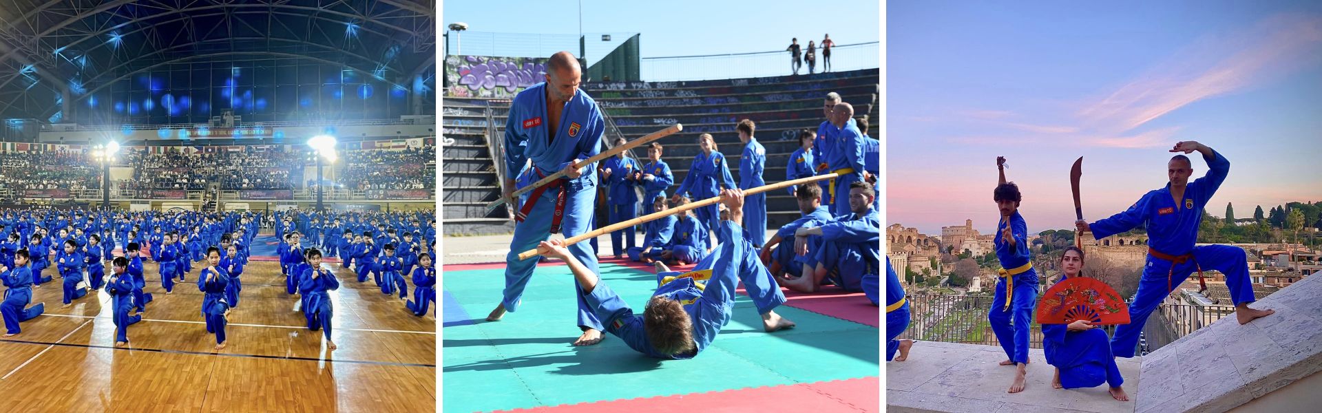 Arte marziale vietnamita Vovinam