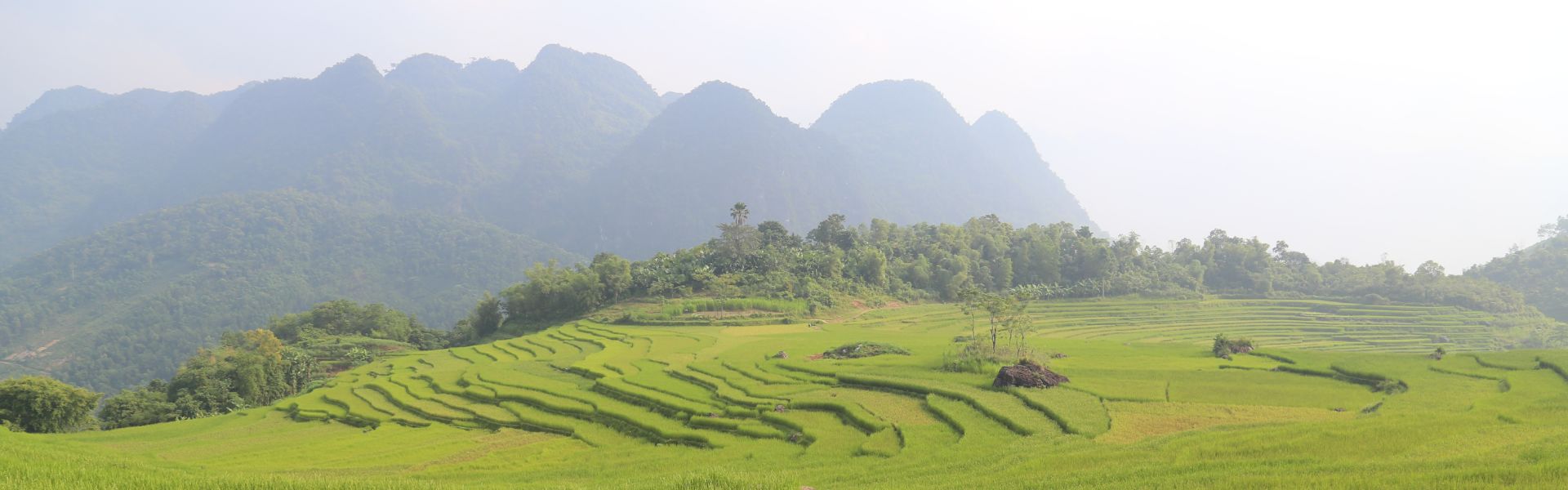 Trekking tra Mai Chau e Pu Luong: cosa vedere e cosa fare?