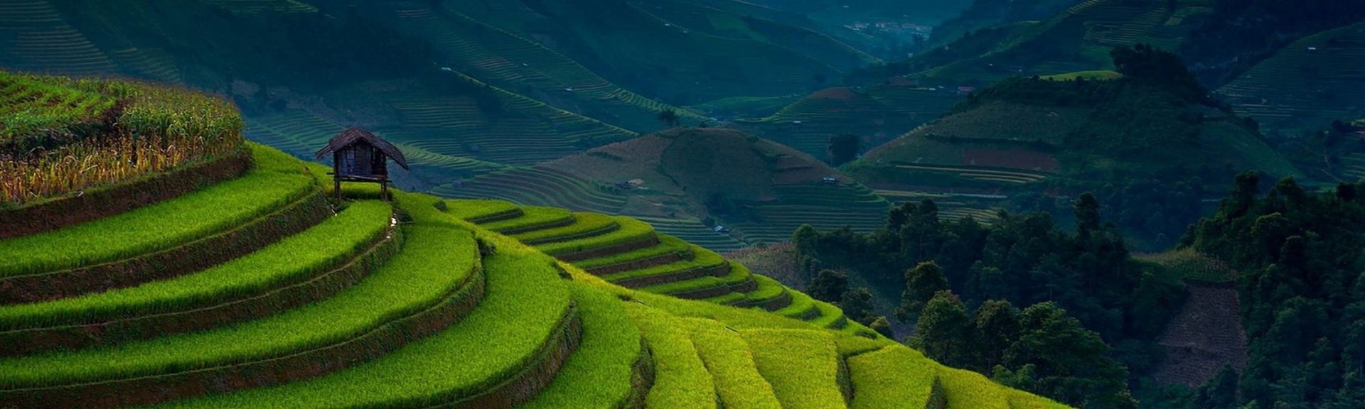 Linga vietnamita – le frasi semplici durante viaggio