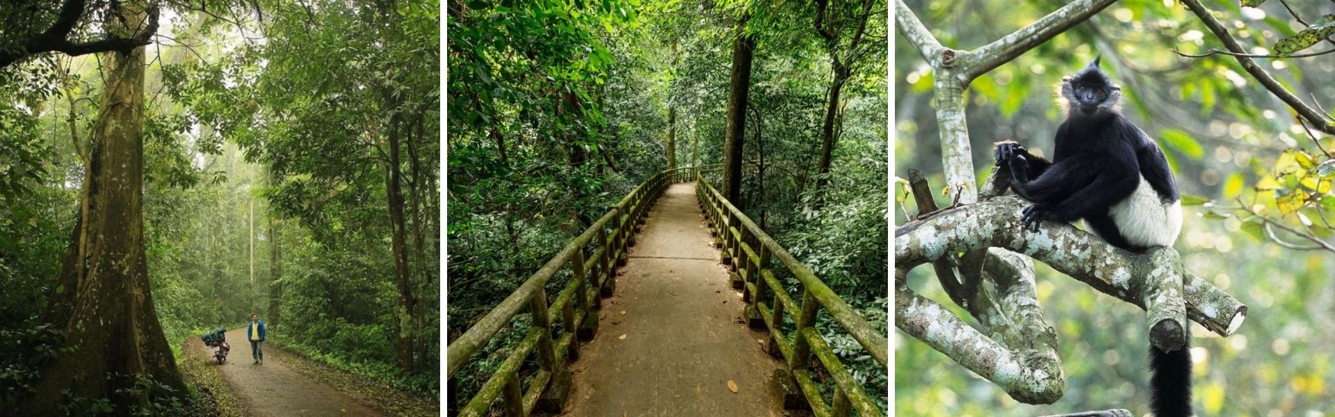 Il parco nazionale di Cuc Phuong