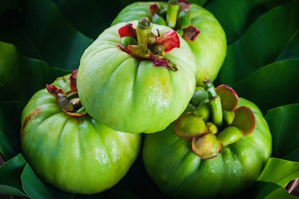 Garcinia cambogia: che cosa è ed a cosa serve