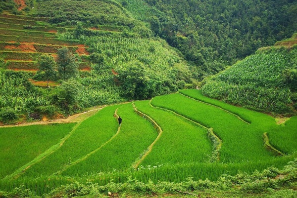 Vietnam del Nord: Guida completa per vostro viaggio 2025