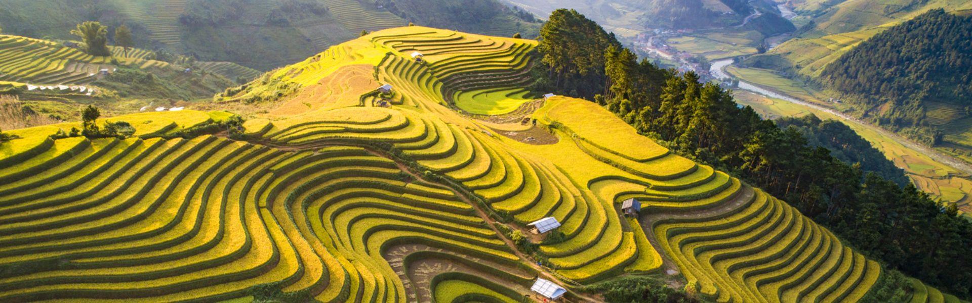 Mu Cang Chai Vietnam: consigli per esplorare le terrazze di riso
