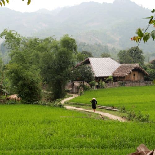 Ban Ha Thanh - Mr Toi