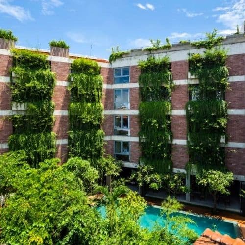 Mulberry Collection Silk Eco