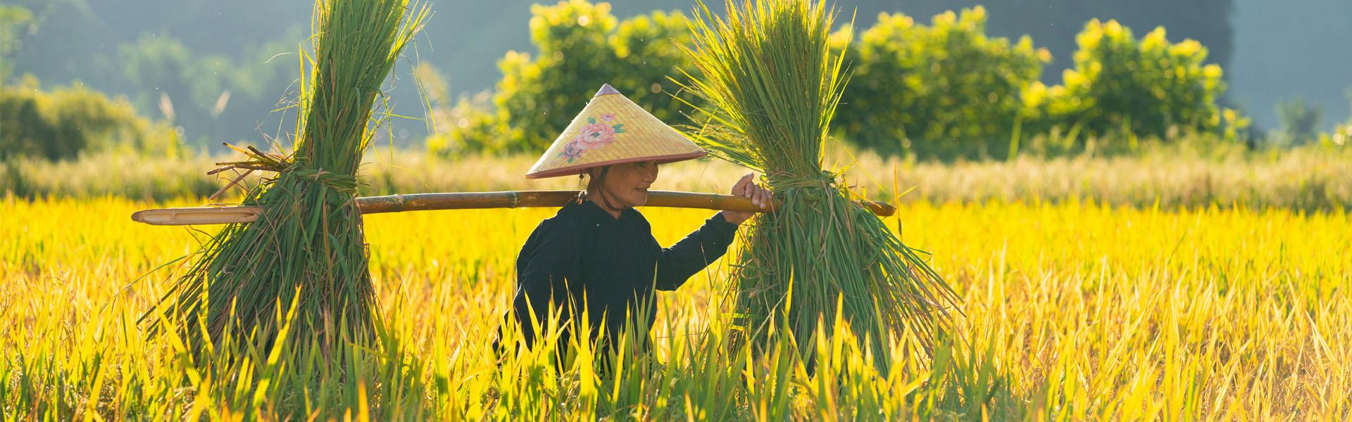 Avventura in Vietnam del Nord