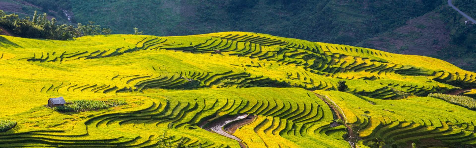 Alla scoperta della cultura in Vietnam