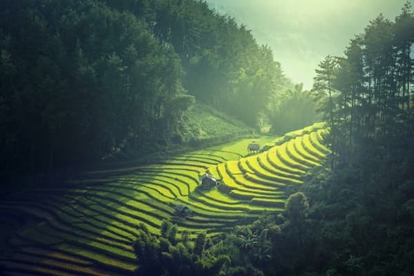 Due settimane in Vietnam