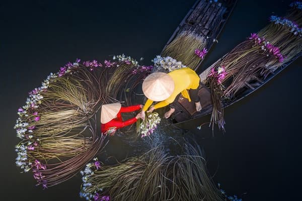 Tour del Vietnam da Nord a Sud