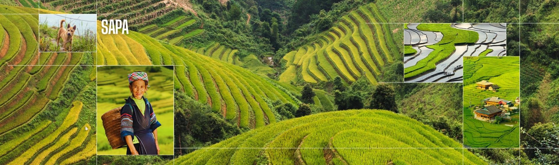 Canto di Vietnam tra risaie e baie