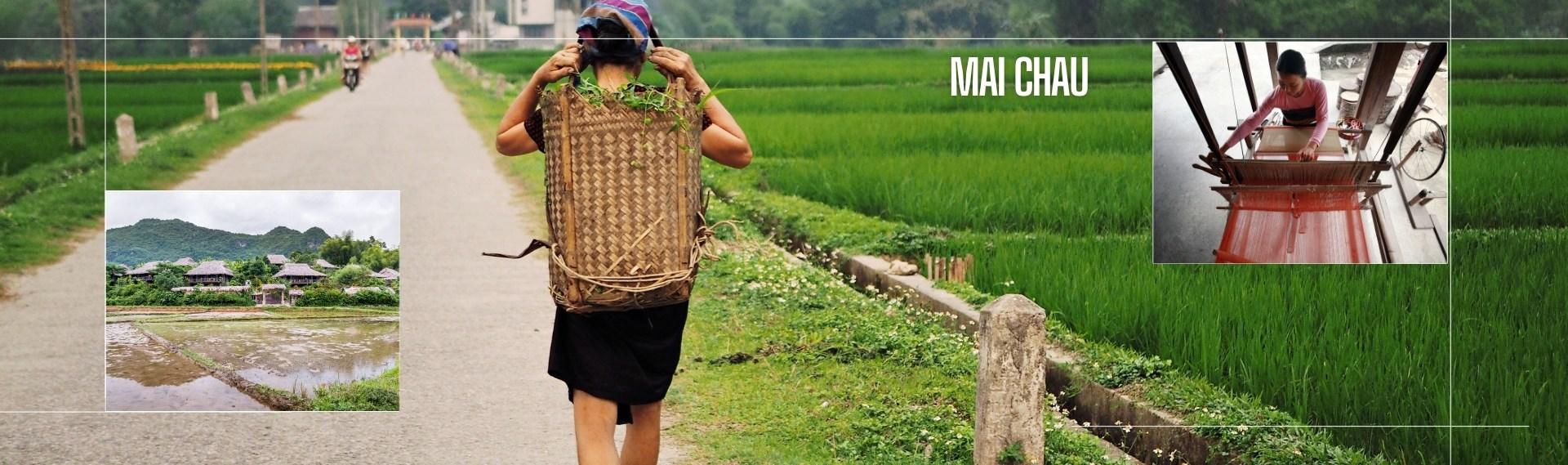 Tour autentico in Vietnam 2 settimane