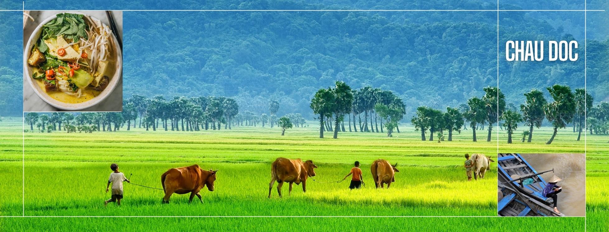 L'incanto del Vietnam integrale