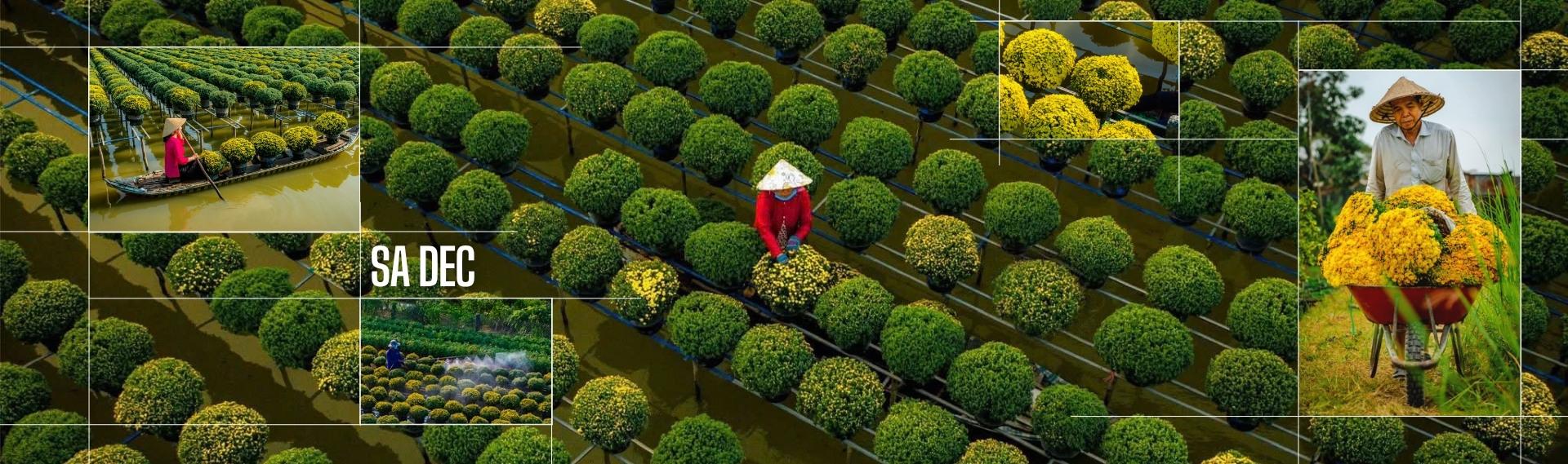 L’impronta del Vietnam tra altopiani e delta