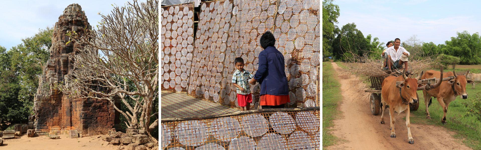 Voli per la Cambogia
