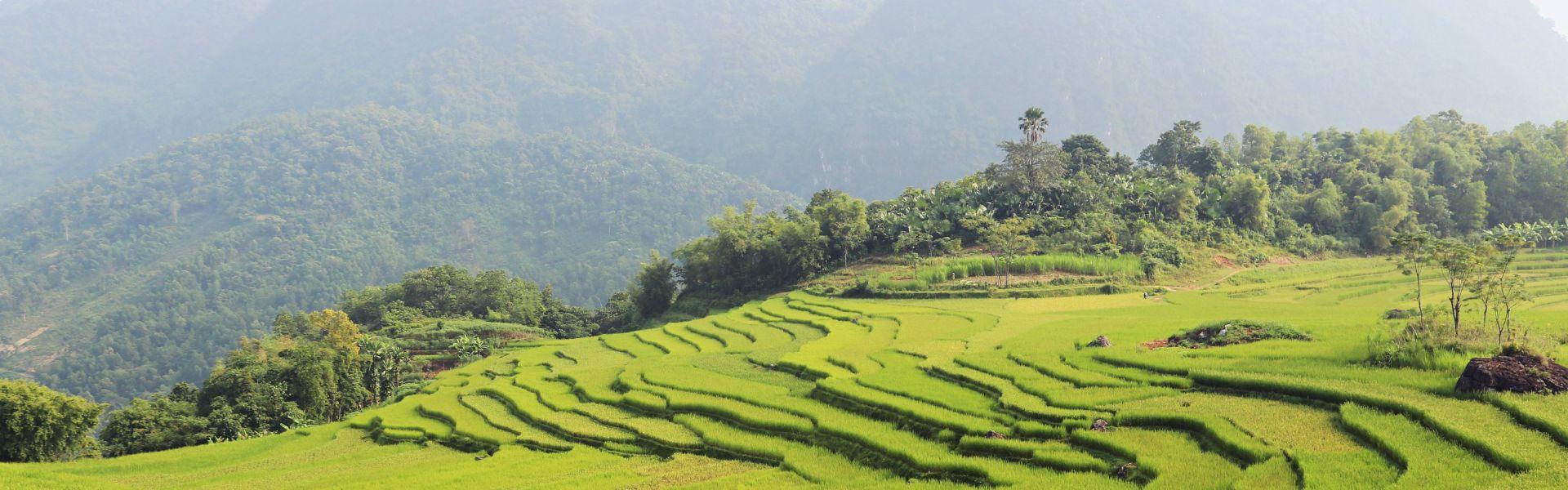 Voli per il Vietnam