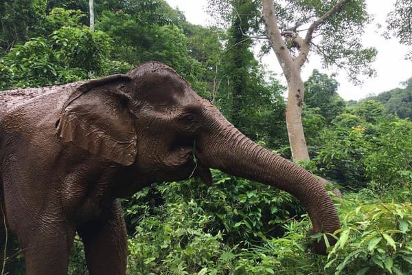Mondulkiri visita