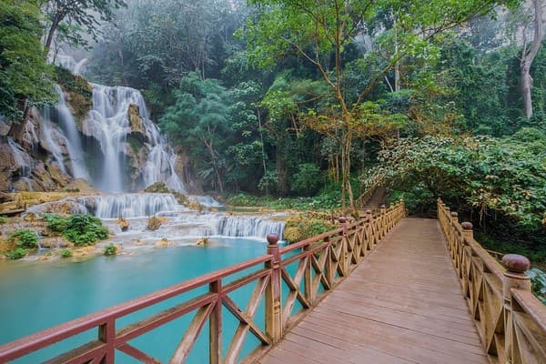 Luang Prabang - Rice farming experience - Cascate Kuang Si