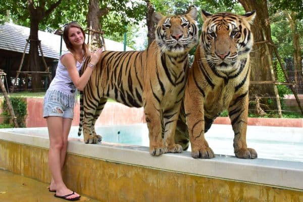Chiang Mai - Elephant care, Tiger Kingdom, villaggi artigianali