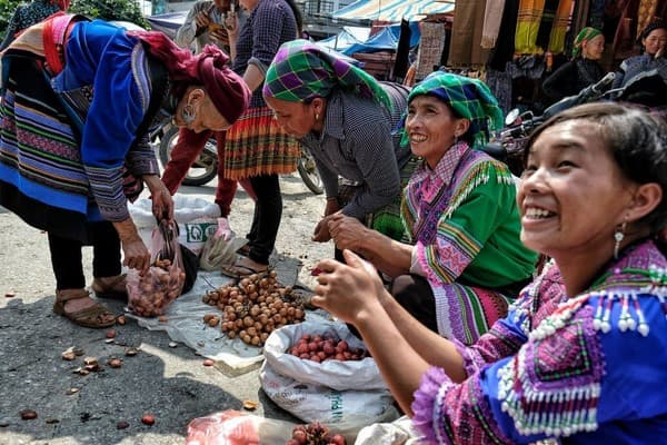 Bac Ha - Lao Cai - Hanoi