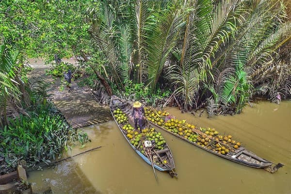 Saigon - Ben Tre - Can Tho