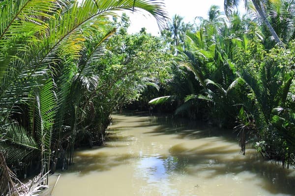 Saigon - Ben Tre - Saigon