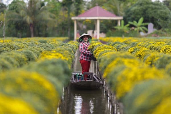 Ben Tre - Sa Dec - Long Xuyen