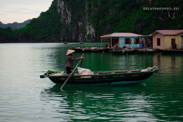 Ninh Binh - Baia di Halong
