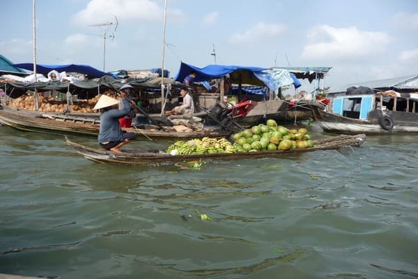 Long Xuyen - Isola di Signor Tigre - Saigon