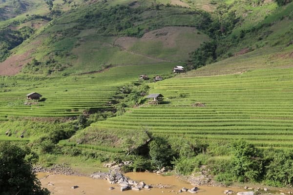 Sapa visita