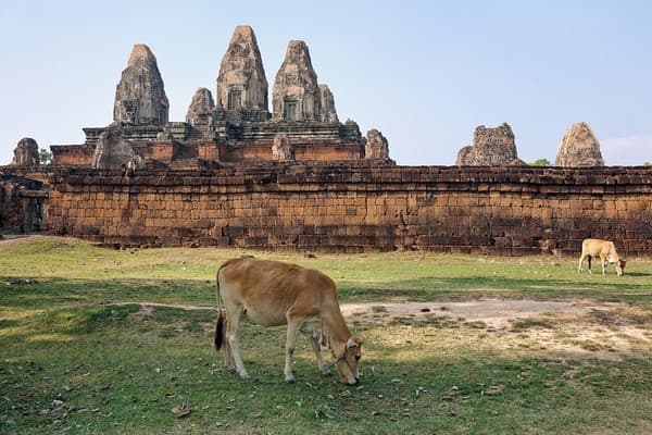 Siem Reap - Banteay Srei - Banteay Samre - Siem Reap