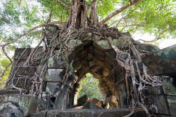 Siem Reap - Beng Mealea - Koh Ker - Siem Reap