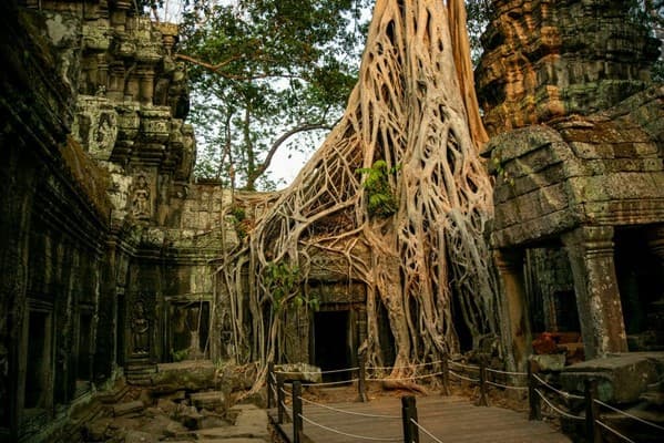 Siem Reap - Angkor Thom - Ta Prohm - Angkor Wat