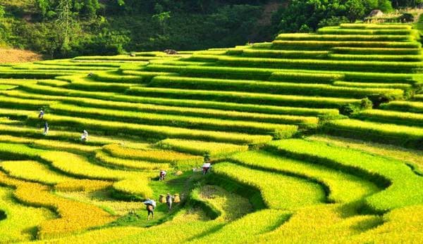 Hanoi - Pu Luong