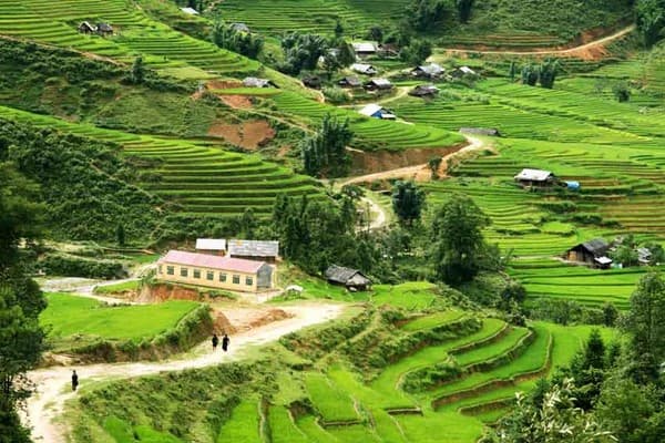 Mu Cang Chai - Sapa