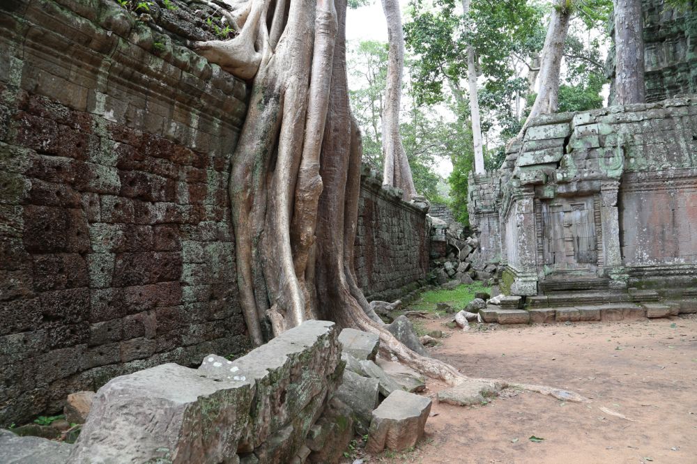 3 gionri in Cambogia: Tah Promh