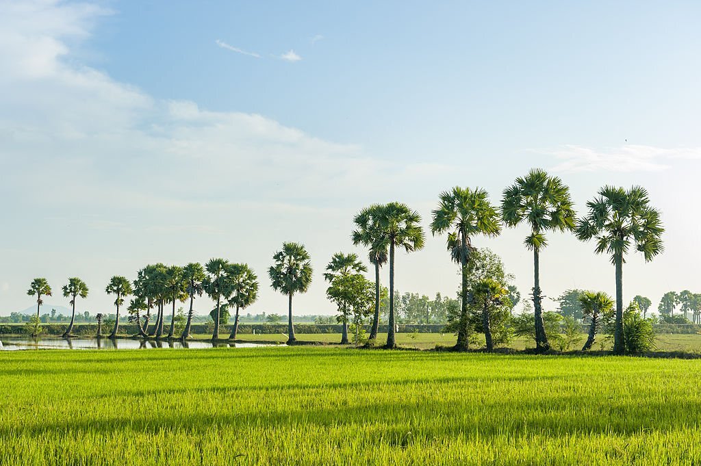 chau doc