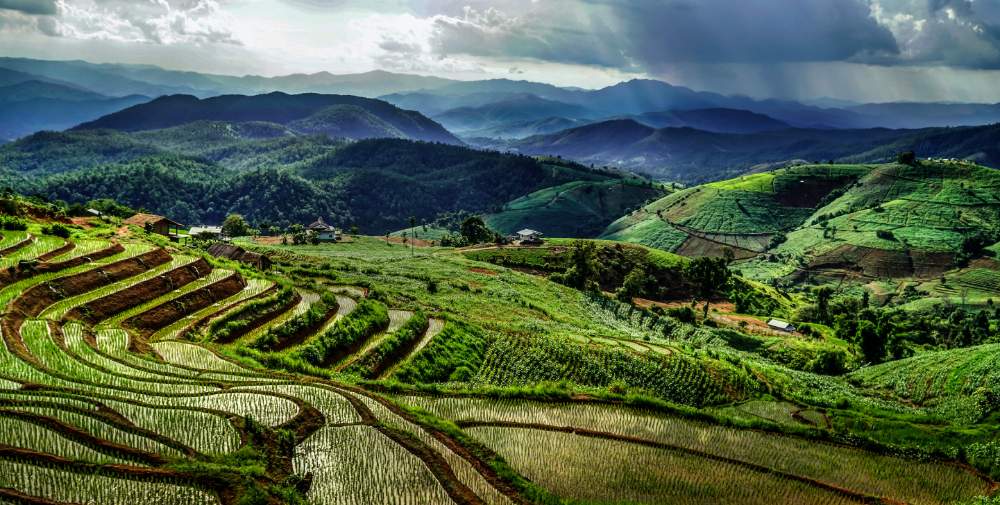 Chiang Mai