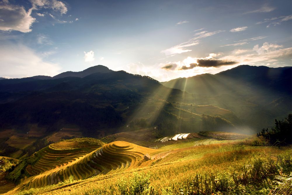 mu cang chai, vietnam, collina mam xoi