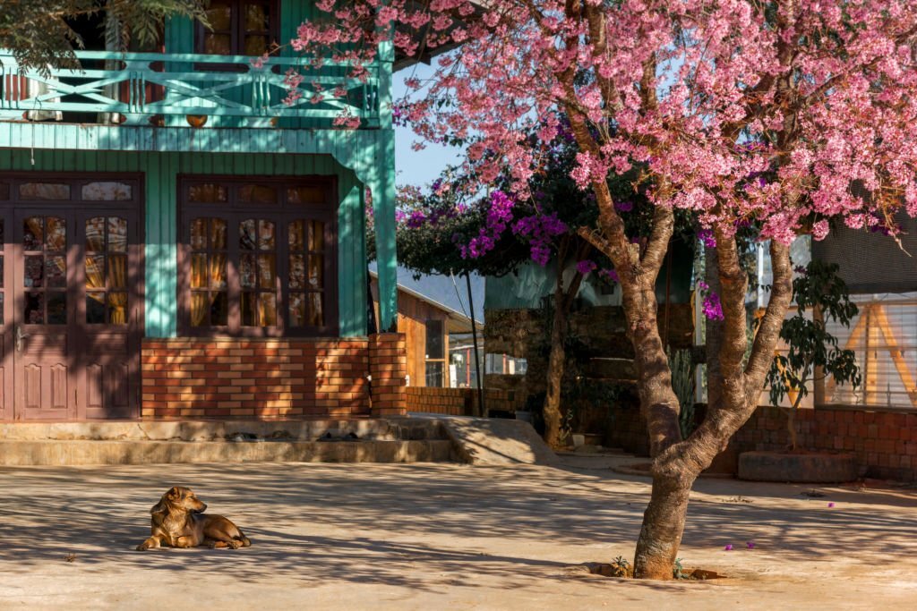 Dalat