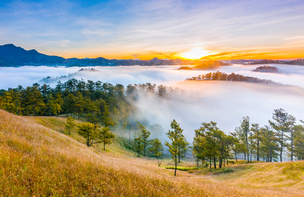 Dalat
