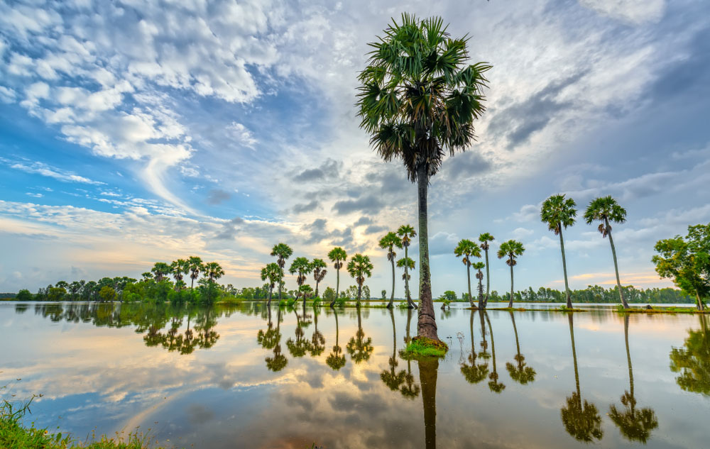 delta di mekong