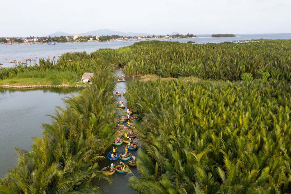 foresta di cocco Bay Mau