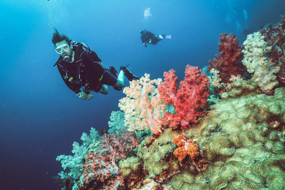 Koh Phi Phi immersioni