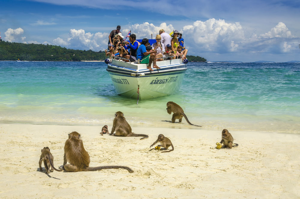 Koh Phi Phi spiaggia delle scimmie